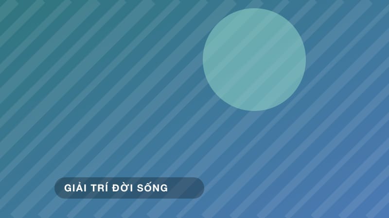 Bí quyết sưu tầm vinyl đĩa than cho người mới chơi audiophile