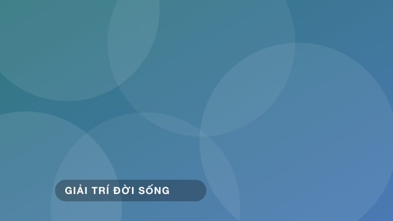 Cẩm nang xem concert và lễ hội âm nhạc an toàn 2026