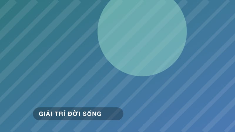 Hướng dẫn tập yoga tại nhà cho người mới hoàn toàn