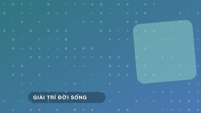 Hướng dẫn trồng cây cảnh mini trong nhà cho người bận rộn
